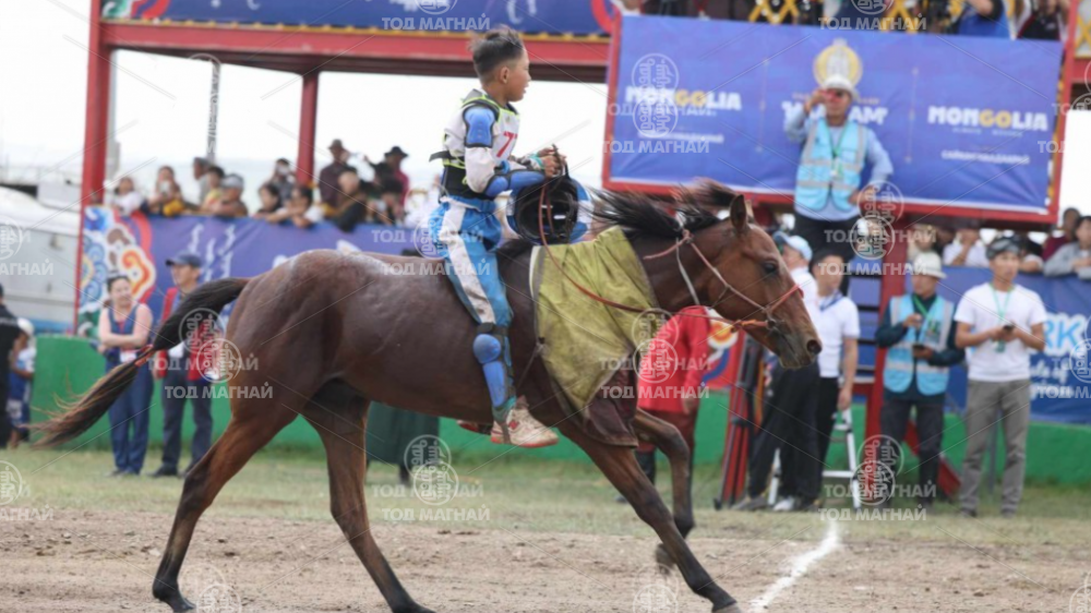  Хамар цагаан хээр