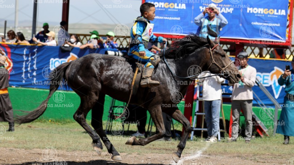 Цоглог халтар