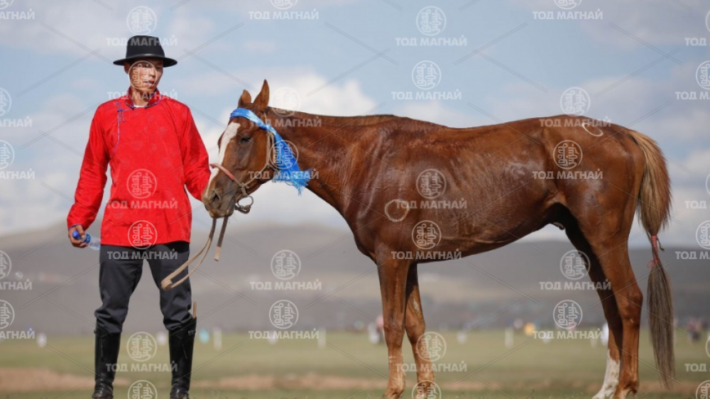  Харцага халзан