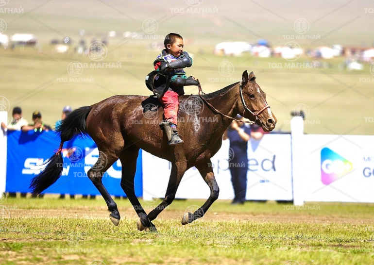  Хээр халзан