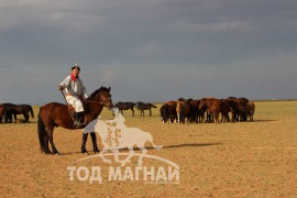 Аймгийн Алдарт уяач Н.Амгалан:” Сүүлийн үеийн тоног төхөөрөмж бүхий адууны эмнэлэг барьна”