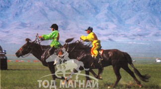 Азарганы айргийн тавд Дорнод аймгийн Баяндун сумын уугуул П.Цэвэгмэдийн Бөөр хүрэн 