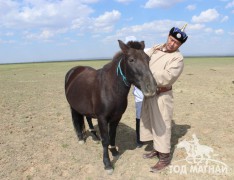 Аймгийн Алдарт уяач Х.Мөнхбат:Аймгийн наадмын цээжний арван адууг бараг л хэлчихдэг