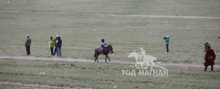 Айргийн гурав Өвөрхангай аймгийн Хайрхандулаан сумын уугуул, МУ-ын Алдарт уяач Б.Отгоннасангийн Далай хээр