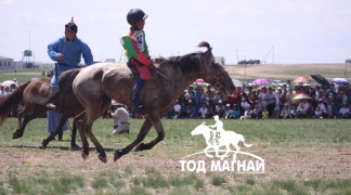 2. Төв аймгийн Дэлгэрхаан сумын уугуул Ш.Мөнгөншагайн буурал 