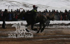 8. Дундговь аймгийн Сайнцагаан сумын уугуул аймгийн Алдарт уяач П.Одонбаатарын цавьдар