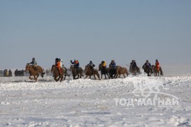 Сүхбаатар аймгийн аварга хүлэг шалгаруулах уралдаанд түрүүлж айрагдсан хурдан соёолонгууд