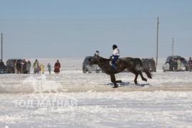 Сүхбаатар аймгийн аварга хүлэг шалгаруулах уралдаанд түрүүлж айрагдсан хурдан соёолонгууд