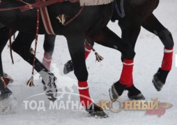 “Москвагийн өвөл -2013” Гурвалсан морин чарганы аварга шалгаруулах тэмцээн