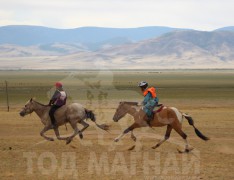 “Дэлтэй цэнхэрийн хурд-2013” уралдааны хурдан шүдлэнгийн фото