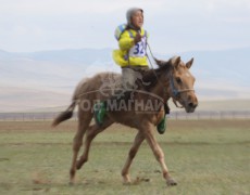 Даага: 3. Сэлэнгэ аймгийн Цагааннуур сумынуугуул Эрдэнэгэрэлийн хонгор