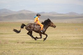 2. Сэлэнгэ аймгийн Дулаанхаан сумын уугуул Баярсайханы хээр