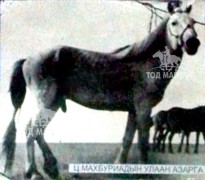Махбуриадын улаан