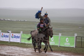 айргийн дөрөвт хурдалсан Монгол улсын Алдарт уяач Уламбаярын Буяндэлгэрийн бор 