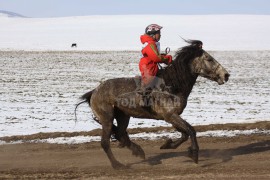 Т.Болдбаатарын халиун