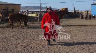 Cумын Алдарт уяач Ч.Сэргэлэнбаатар: “Адуу эдэлж сураагүй байж морь уяна гэдэг аюултай”