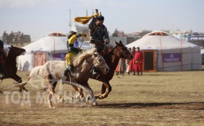 Аймгийн Алдарт уяач Ү.Атарсайханы шарга халзан