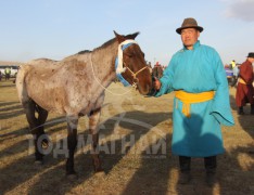 Нийслэлийн Алдарт уяач Г.Буянтогтох: Өвөл хурдан байсан морь зун давхил нь бэлэн байдаг