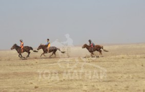 “Жавхлант шаргын хурд-2014” уралдааны хурдан шүдлэнгүүд