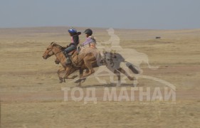 “Жавхлант шаргын хурд-2014” уралдааны хурдан шүдлэнгүүд