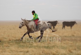 Бурхан багшийн тааллын шүтээн бодь суварга сүндэрлүүллээ