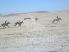 Архангай аймгийн Өгийнуур суманд болсон хаврын бүсийн уралдаан