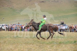 Аравт хурдалсан аймгийн Алдарт уяач А.Пүрэвсүрэнгийн