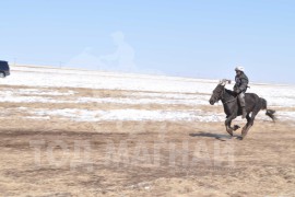 Түрүү соёолонгийн эзэн М.Бадамдорж: “Уртын Дамдинжав гуайн хул азарганы угшилтай үрээ байгаа юм”