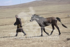 Аман хүзүүнд хурдалсан Ариунсайханы бор шүдлэн