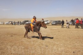 Айргийн тавт хурдалсан Баасанпүрэвийн хүрэн