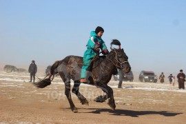 Э.Отгонсүрэнгийн саарал /95/