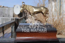 МУ-ын Алдарт уяач О.Жамъяндорж: Буурал духт ааш муутай, хачин адуу байж билээ