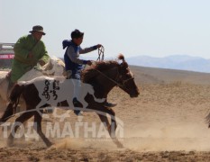 Айргийн тавд хурдалсан Болдбаатарын буурал 