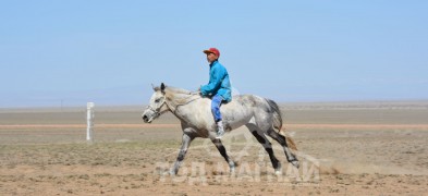 “Увс төвийн бүсийн хурд-2015” хурдан их насны морьд