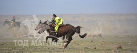 “Увс төвийн бүсийн хурд-2015” хурдан их насны морьд