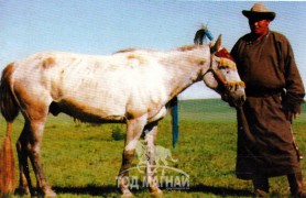 Увсын Баруунтурууны
