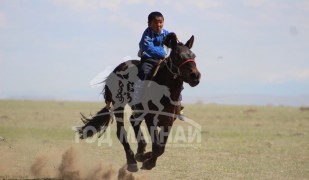 Айргийн дөрөв-Ө.Түмэнжаргалын халтар