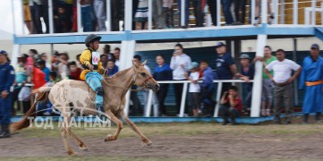 Айргийн гурав -Т.Дүгэрээгийн хонгор