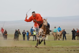 Шилдгийг шалгаруулах “Адуучин 2015” тэмцээнээс...