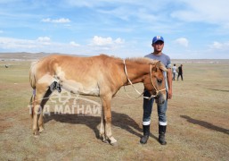 Монгол үрээгээ хасуулсан уяачид гомдолтой байна