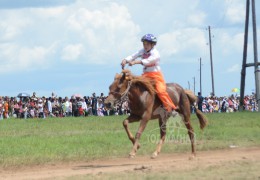 Ц.Дашдаваа: Рагчаасүрэнгийн зээрд үрээг зуучилж, 90 саяар зарж өгсөн