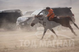 Айргийн гуравт хурдалсан аймгийн Алдарт уяач Н.Базаргарьдын хүрэн