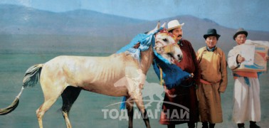 аймгийн Алдарт уяач С.Омбосүрэн: Манай сумын уяачид тойргийн сумдадаа илүүрхэнэ шүү