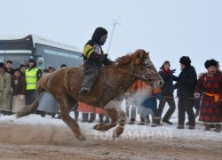 Цэндийн Энхтайваны хонгор