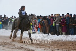 Ганхуягийн Будхангайгийн хар алаг