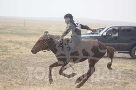 Айргийн тавт хурдалсан Базарын хүрэн даага