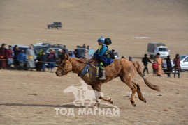 Энх-Амгалангийн хонгор