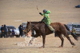 Гансүхийн хүрэн халзан