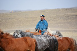 Аймгийн Алдарт уяач Г.Амартүвшин: Одоо ч Улсын хошой аварга малчны туузыг нь хараад аав, ээжээрээ бахархдаг