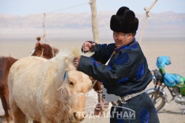 МУ-ын Гавъяат малчин, МУ-ын Алдарт уяач Ц.Шинэн: Дөмөг учраатай таарсан бөх улам сайжирдагтай адил бэсрэгтэй хамт уягдсан монгол тэмээ хурдаараа дутна гэж байхгүй